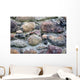 Stary Kamienny Mur Wall Mural