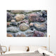 Stary Kamienny Mur Wall Mural