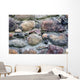 Stary Kamienny Mur Wall Mural