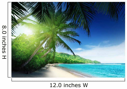 Beach Sunset Time Mahe