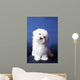 The Maltese Lap Dog Wall Mural