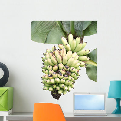 Banana and Banana Leaves Wall Mural shown on a wall