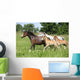 Mares and Foals Running Wall Mural