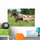 Mares and Foals Running Wall Mural