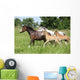 Mares and Foals Running Wall Mural