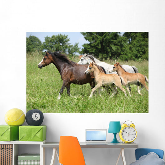 Mares and Foals Running Wall Mural