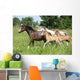 Mares and Foals Running Wall Mural