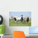 Batch Welsh Ponnies Running Wall Mural