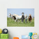 Batch Welsh Ponnies Running Wall Mural