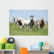 Batch Welsh Ponnies Running Wall Mural