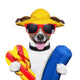 summer beach dog Wall Decal