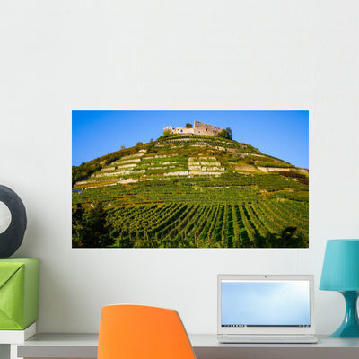 Staufen Schwarzwald shown on a wall