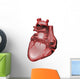 Anatomy of the Jhuman Heart Wall Decal