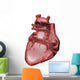 Anatomy of the Jhuman Heart Wall Decal
