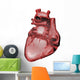 Anatomy of the Jhuman Heart Wall Decal