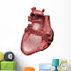 Anatomy of the Jhuman Heart Wall Decal