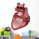 Anatomy of the Jhuman Heart Wall Decal