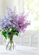 Bunch Lilac in Vase on Table Wall Mural