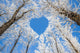 Winter landscape,branches form a heart-shaped pattern Wall Mural