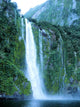 Wasserfall Am Milford Sound