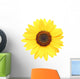Sunflower Macro Over White Wall Decal