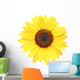 Sunflower Macro Over White Wall Decal