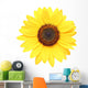 Sunflower Macro Over White Wall Decal
