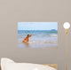 Dog Beach