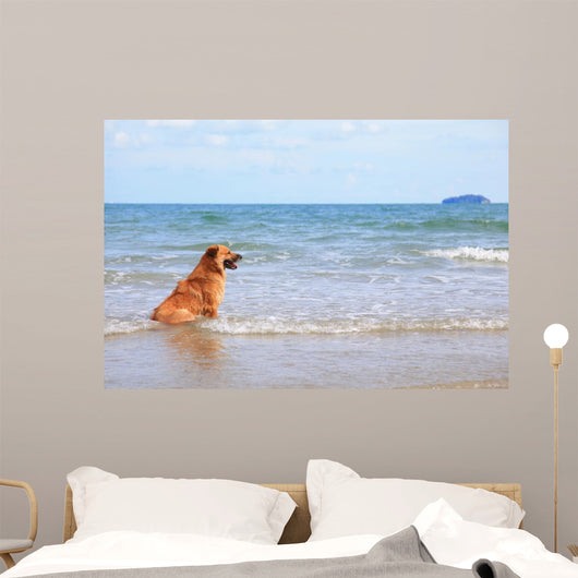 Dog Beach
