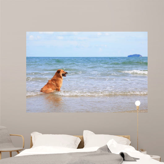 Dog Beach