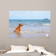 Dog Beach