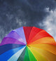 Rainbow Umbrella on Stormy Sky Wall Mural