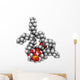 Cardiolipin Tetraoleoyl Cardiolipin Wall Decal