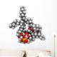 Cardiolipin Tetraoleoyl Cardiolipin Wall Decal