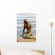 Lonely Mermaid Copenhagen Denmark Wall Mural