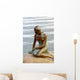 Lonely Mermaid Copenhagen Denmark Wall Mural