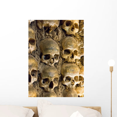 Wall Full Skulls and shown on a wall