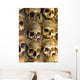 Wall Full Skulls and