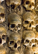 Wall Full Skulls and