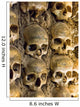 Wall Full Skulls and