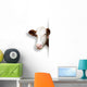 Lukt Cow