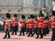 Changing of Guards Wall Mural