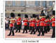 Changing of Guards Wall Mural