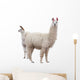 Female Baby Llama Wall Decal