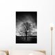 Leafless Tree