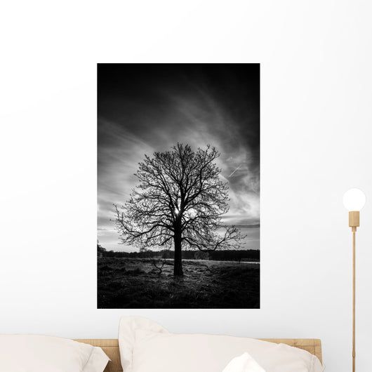 Leafless Tree