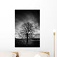 Leafless Tree