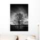 Leafless Tree