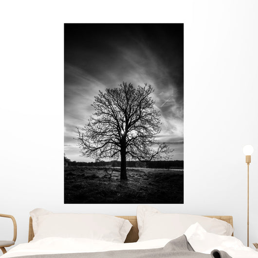 Leafless Tree