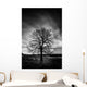 Leafless Tree